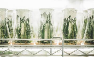 Ķīmiskā rūpniecība, farmācija un biotehnoloģiju nozare